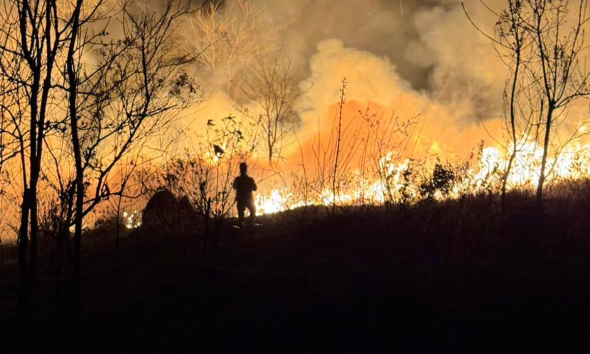 Incêndio atinge área de vegetação no bairro Granjas Betânia