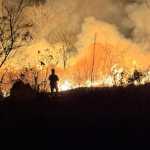 Incêndio atinge área de vegetação no bairro Granjas Betânia