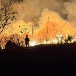 Incêndio atinge área de vegetação no bairro Granjas Betânia