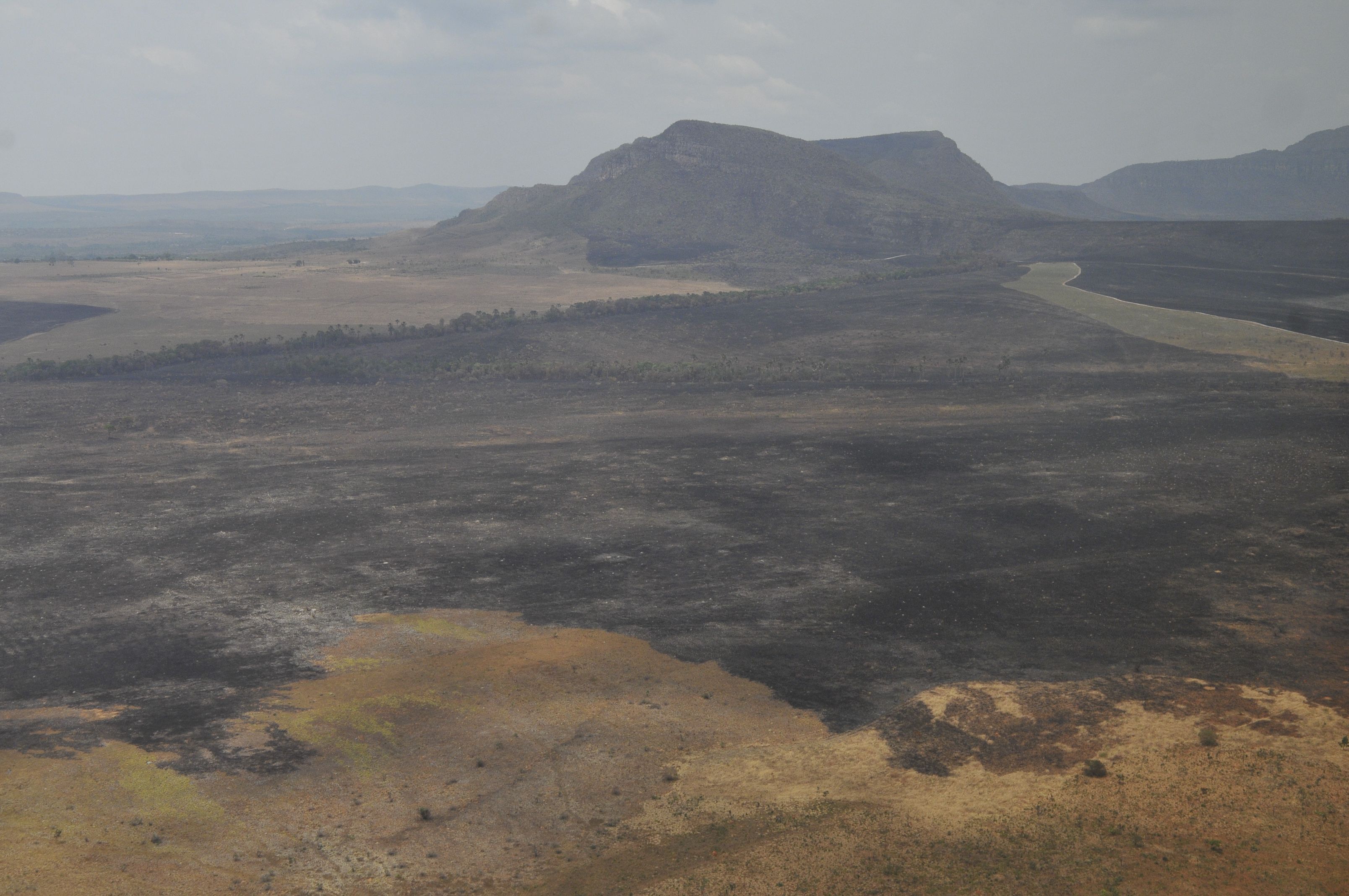 Incêndio destrói mais de 10 mil hectares na Chapada dos Veadeiros, em Goiás