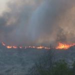 Vídeo: incêndio na Argentina deixa dezenas de desabrigados e um homem é preso