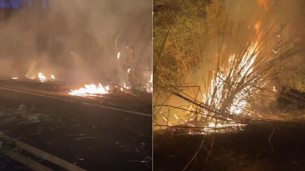 Incêndio atinge área de 30 hectares e interdita rodovia na Região do Vale do Rio Doce