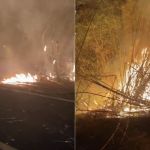Incêndio atinge área de 30 hectares e interdita rodovia na Região do Vale do Rio Doce