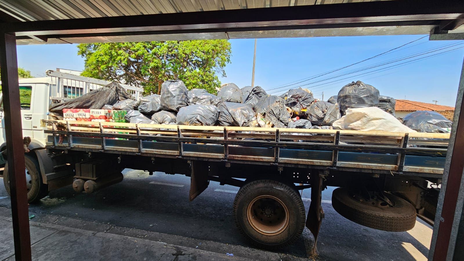 Dono de bar cheio de ratos e baratas é preso por vender comida podre e bebida vencida