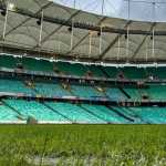 Bahia x Corinthians: times estão escalados para jogo do Brasileiro