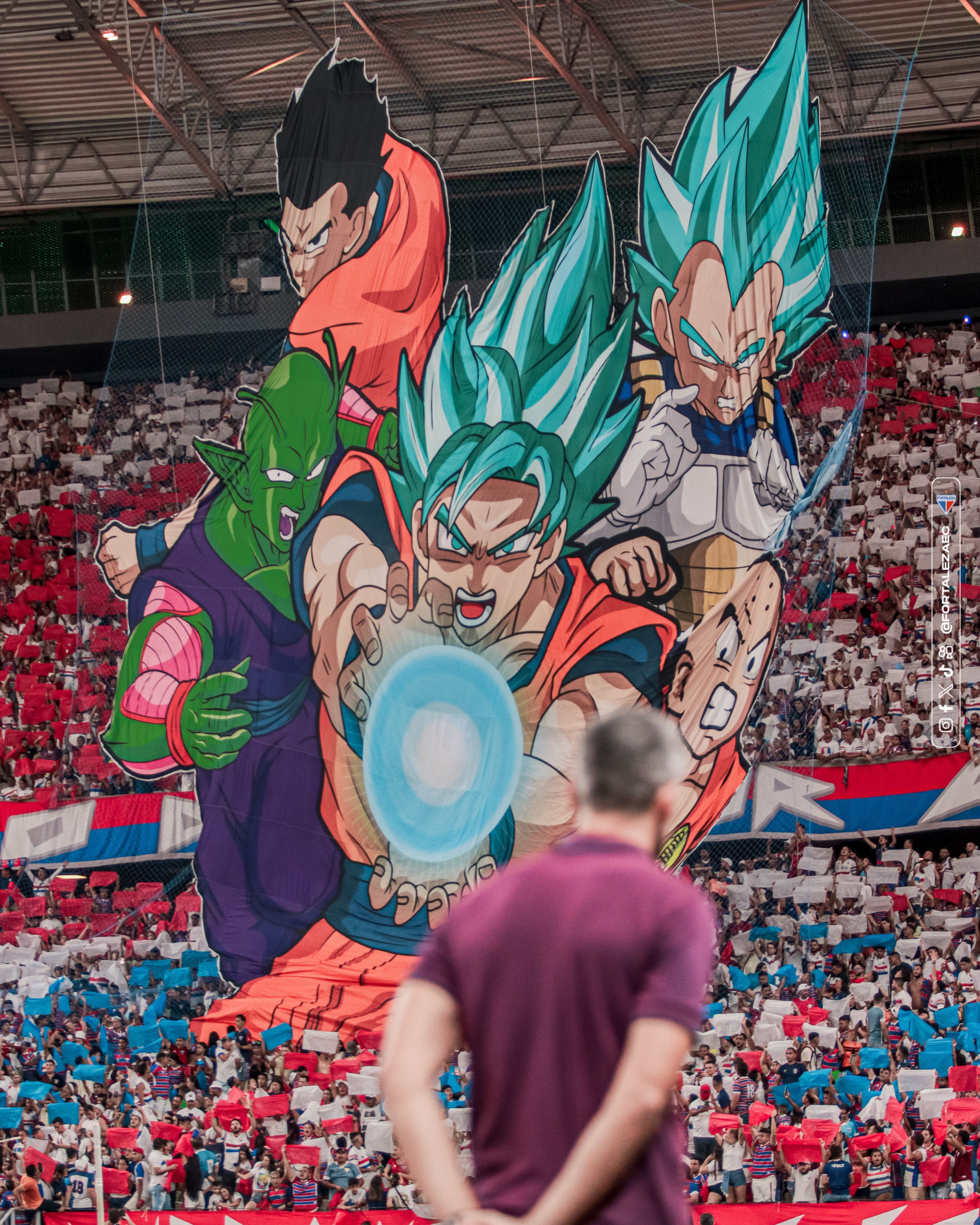 Torcida do Fortaleza faz mosaico em homenagem a criador de Dragon Ball
