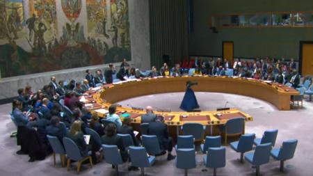 Foram 12 votos favoráveis à proposta de Malta. EUA, Rússia e Reino Unido se abstiveram