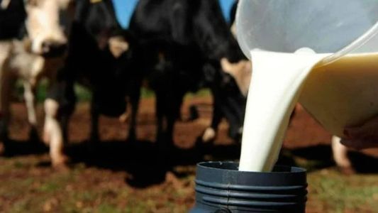 Foram 54 animais da raça Gir Leiteiro, 10, da raça Sindi, e 6 exemplares da raça Girolando, totalizando 70 inscritos.