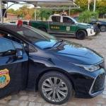 Ibama descobre 249 toneladas de pesca ilegal de lagosta e esquema criminoso é alvo da Polícia Federal