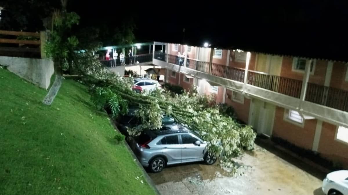 Árvore gigante cai em cima de carros em hotel em Poços de Caldas