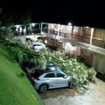 Árvore gigante cai em cima de carros em hotel em Poços de Caldas