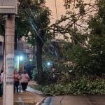 Após seis dias do temporal, 1,3 mil imóveis ainda estão sem luz em SP