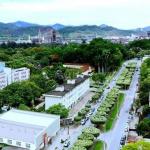 Pesquisa Itatiaia/VER em Timóteo: Doutor Renato (PL) tem 21% e Eduardo (Novo) tem 19%