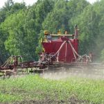 Minas lidera ranking de financiamento digital para produção no agronegócio
