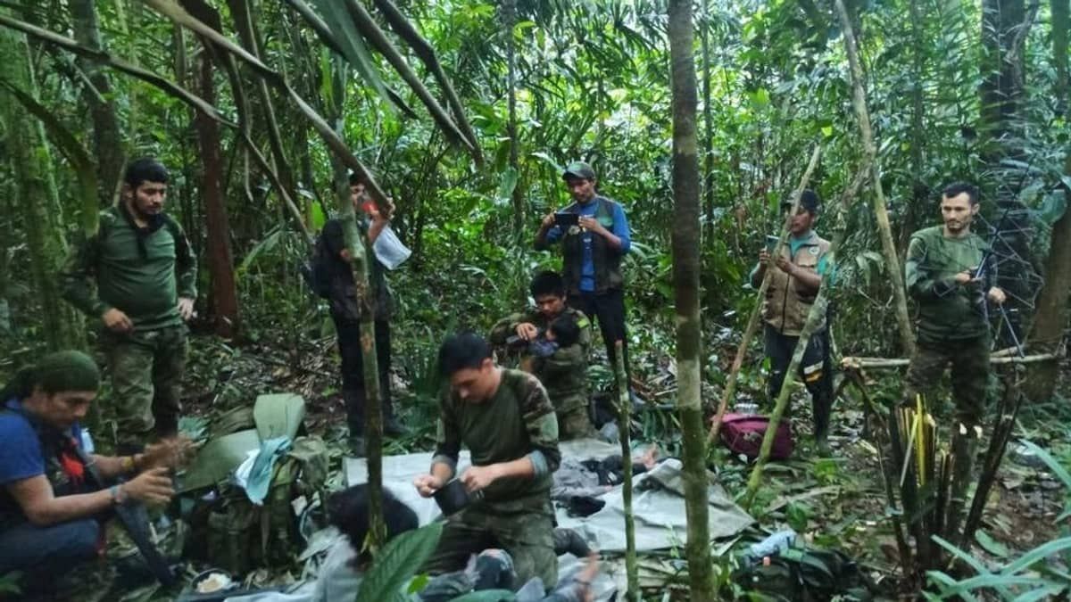 Crianças perdidas na Amazônia colombiana são encontradas vivas após 40 dias