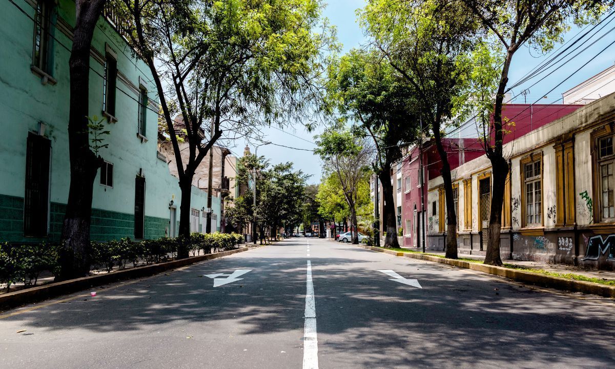 'De volta a minha terra': Programa auxilia migrantes em vulnerabilidade social