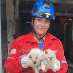 Filhotes de gato são resgatados após queda em cisterna desativada em Carandaí