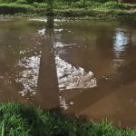 Veículo cai e fica preso no Rio Paraibuna em Juiz de Fora