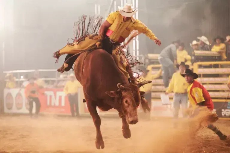 Cancelamento rodeio da Festa da Batata divide opiniões e reacende debate sobre proteção animal em Ouro Branco