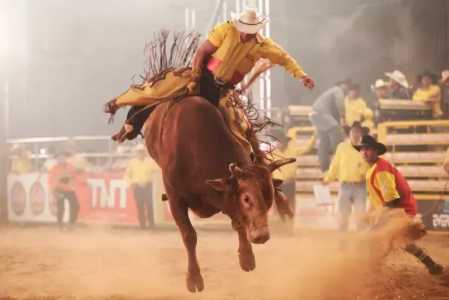 Cancelamento rodeio da Festa da Batata divide opiniões e reacende debate sobre proteção animal em Ouro Branco