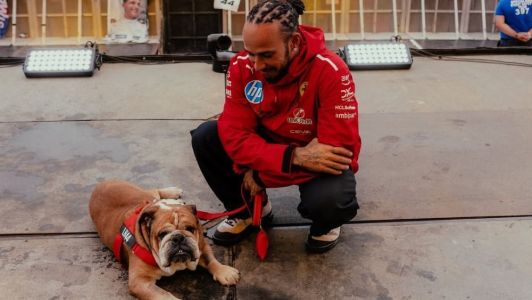 Lewis Hamilton, piloto da Ferrari, ao lado de Roscoe em evento no GP da Grã-Bretanha