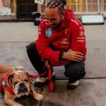 Cachorro de Hamilton morre, e piloto da Fórmula 1 faz longa homenagem nas redes