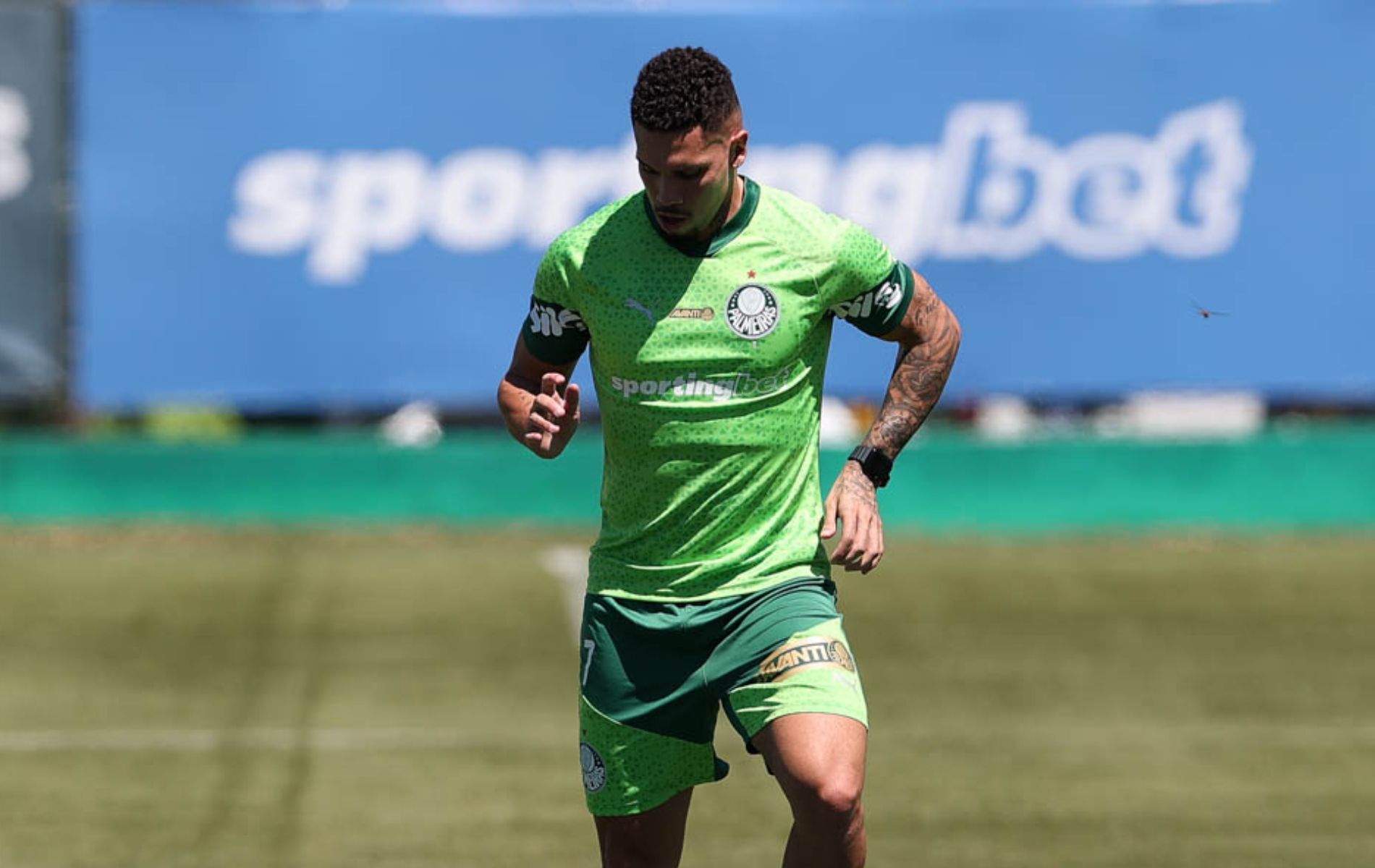 Em recuperação, Paulinho anima Palmeiras e faz primeira atividade no gramado; veja