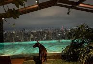 Corinthians: quarto de hotel em que Memphis mora custa R$ 8 milhões por mês; veja fotos