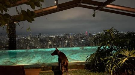 Cachorro de Memphis Depay na Penthouse Suite, do Rosewood São Paulo