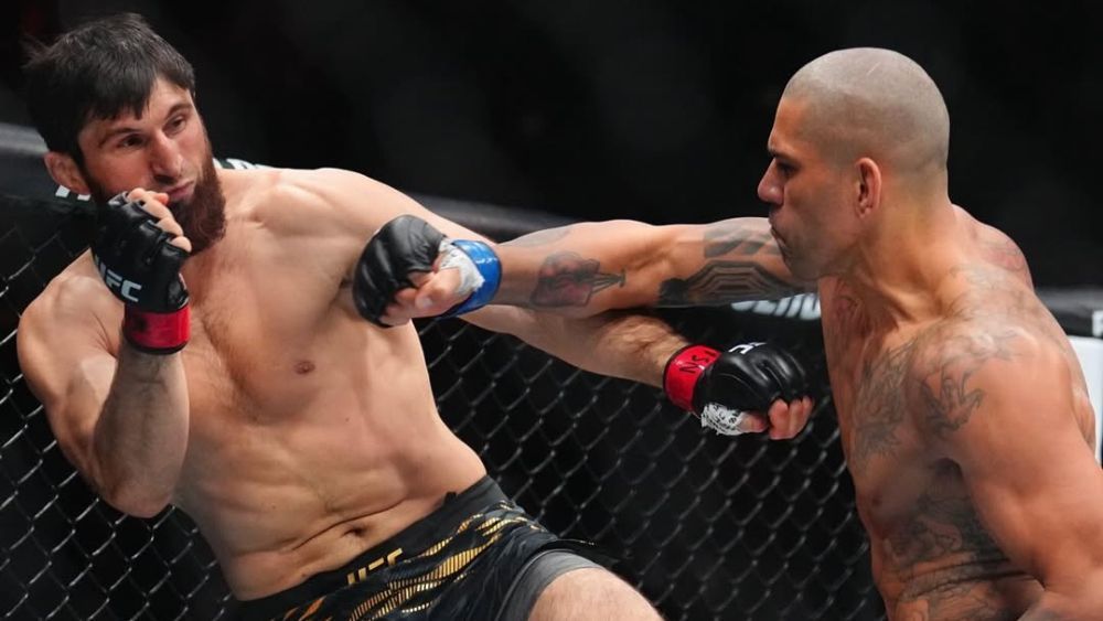 Lutador brasileiro revela que Alex Poatan lutou machucado contra Ankalaev no UFC