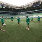 Escalação do Palmeiras: veja provável time para decisão contra a LDU na Libertadores