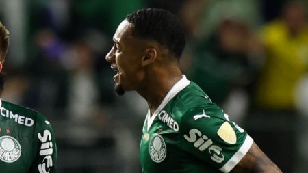 Allan Elias foi crucial na classificação do Palmeiras à final da Copa Libertadores
