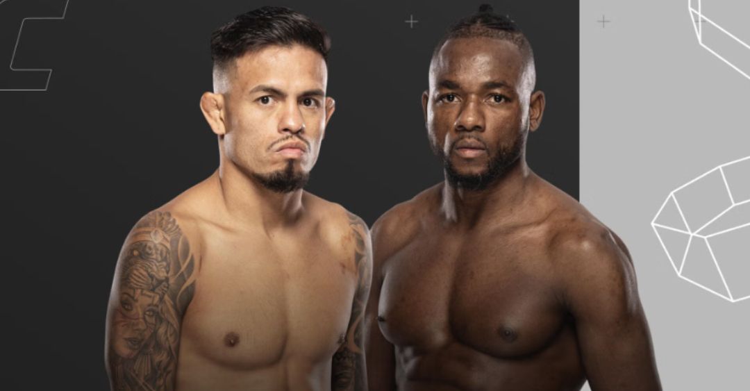 UFC Vegas 112: último evento do ano está recheado de brasileiros; veja card completo