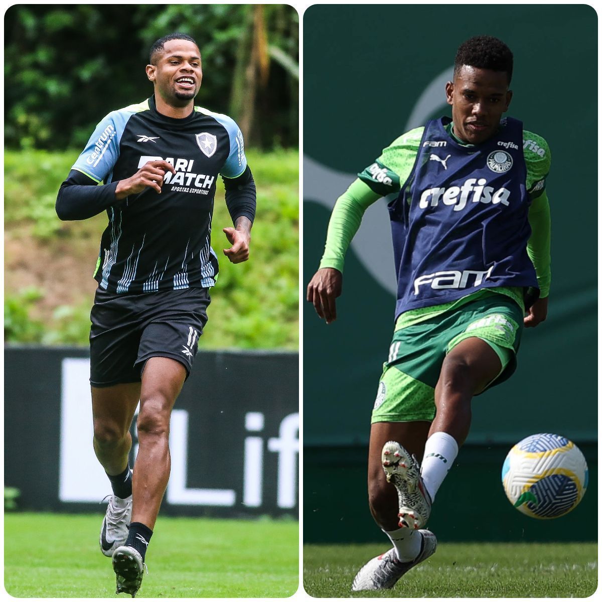 Líder e vice-líder do Brasileirão, Botafogo e Palmeiras fazem prévia da Libertadores