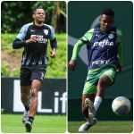 Líder e vice-líder do Brasileirão, Botafogo e Palmeiras fazem prévia da Libertadores