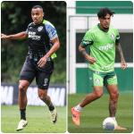 Botafogo x Palmeiras: veja as prováveis escalações para jogo do Brasileirão