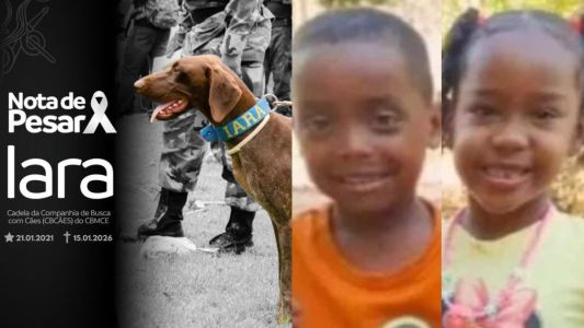 Corpo de Bombeiros do Ceará divulgou uma nota de pesar por cadela que morreu em operação de buscas por crianças desaparecidas em Bacabal (MA)