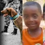 Bacabal-MA: cadela dos bombeiros morre em operação de buscas por crianças desaparecidas