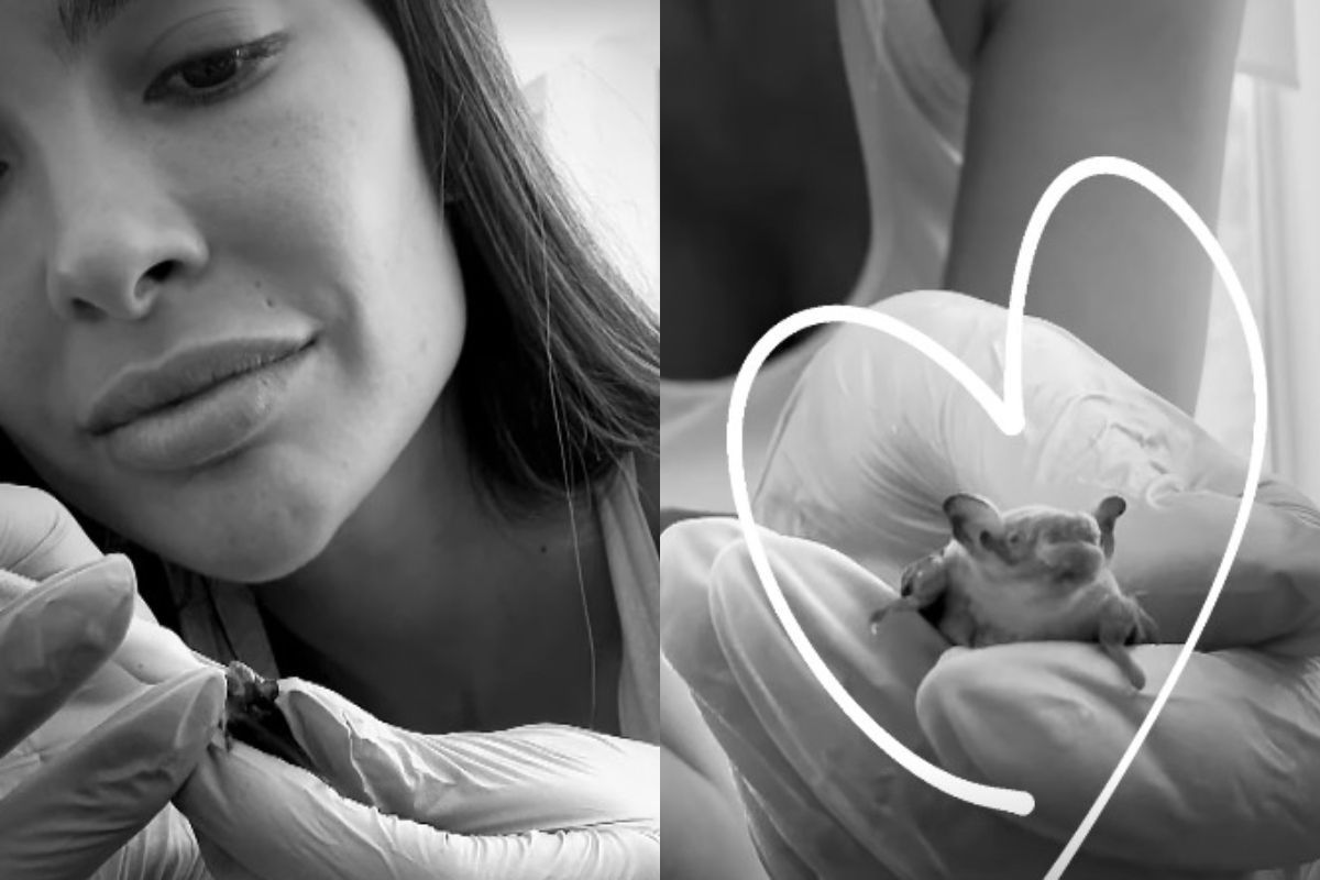 Esposa de Daniel Alves adota animal inusitado e faz apelo nas redes sociais