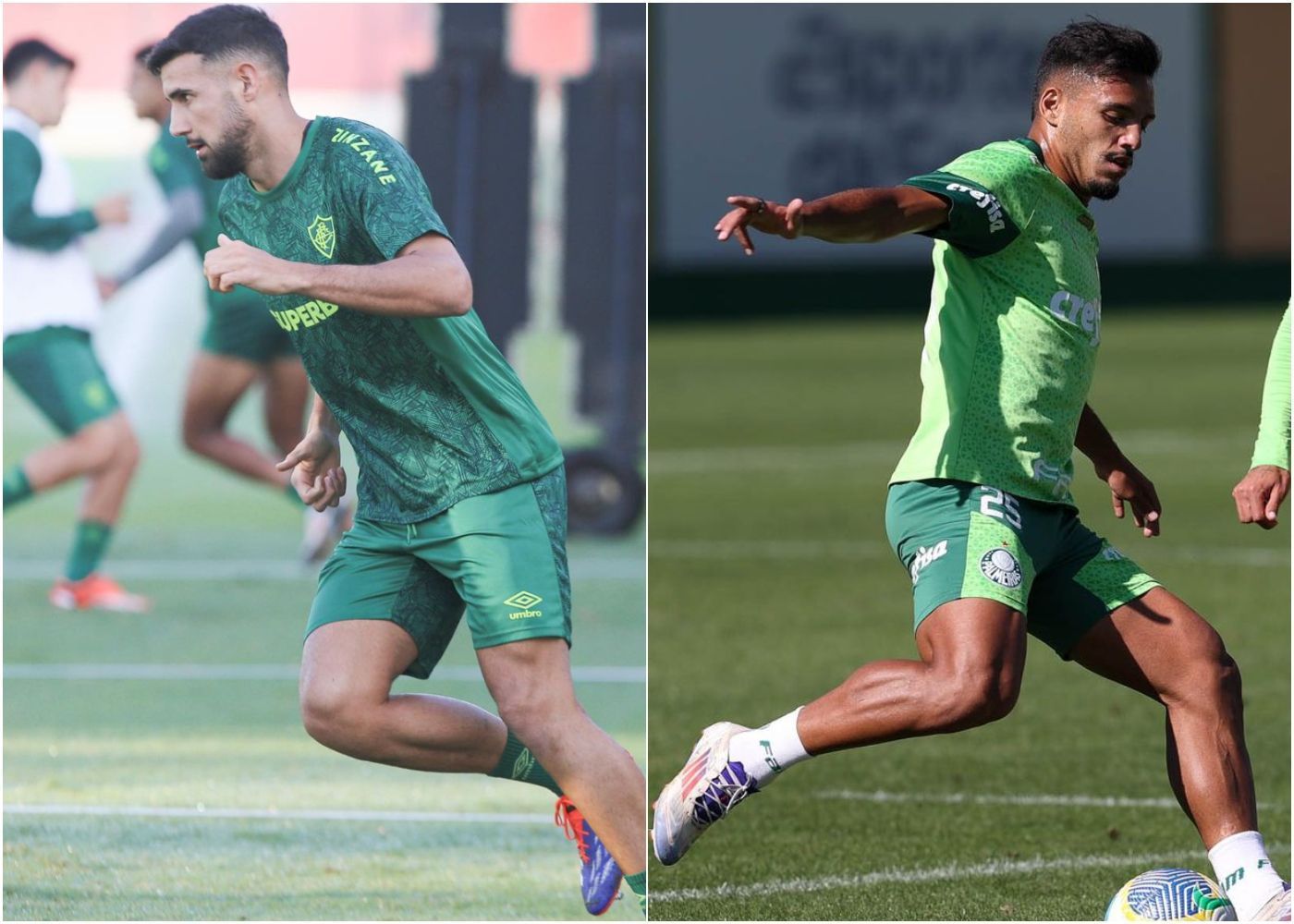 Fluminense x Palmeiras: horário e onde assistir ao vivo pela Série A