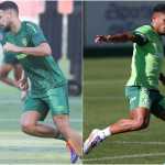 Fluminense x Palmeiras: horário e onde assistir ao vivo pela Série A