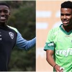 Botafogo x Palmeiras: veja prováveis escalações para jogo na Libertadores