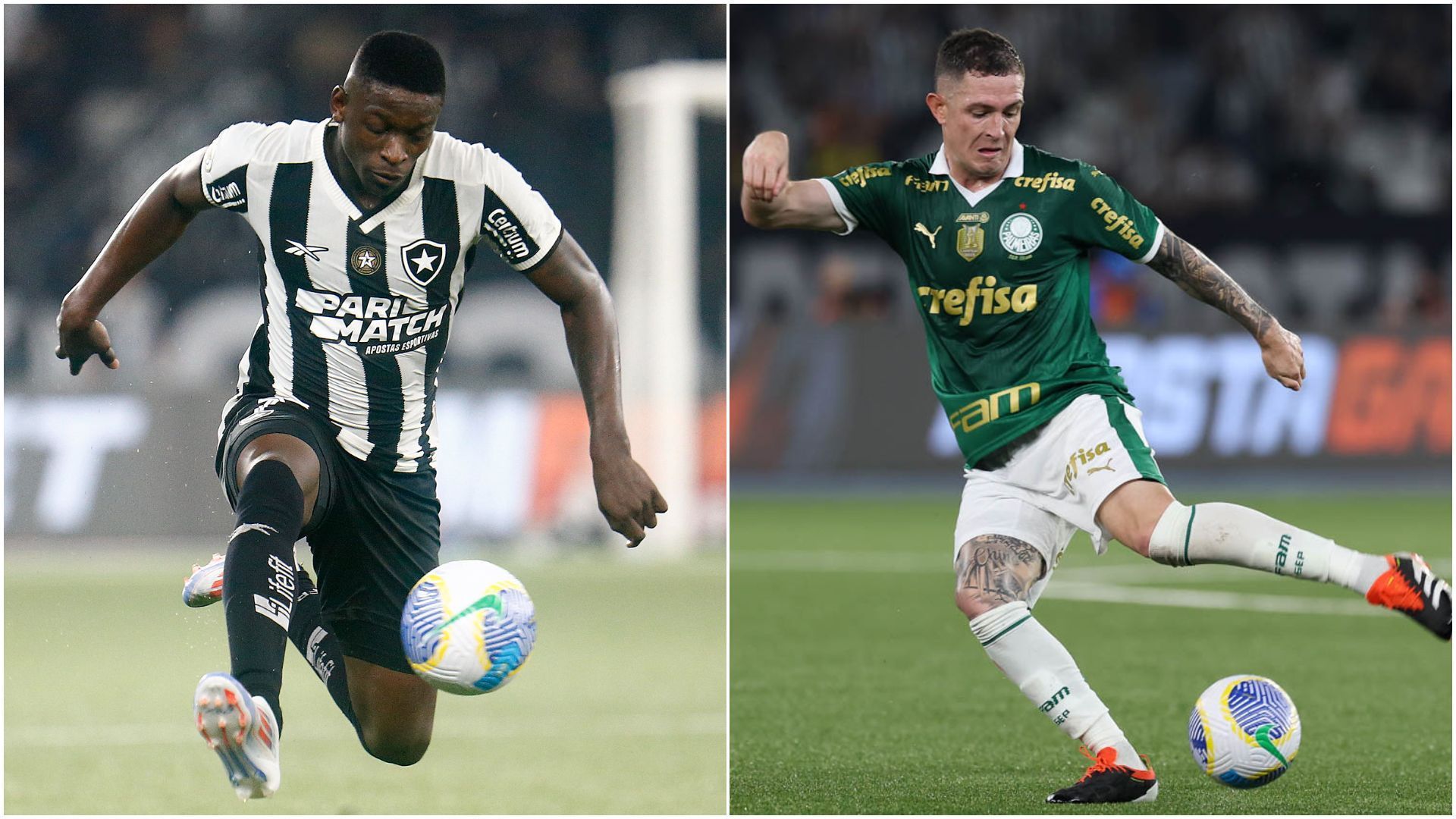 Duelo de milhões: Botafogo e Palmeiras põem à prova na Libertadores investimentos altos