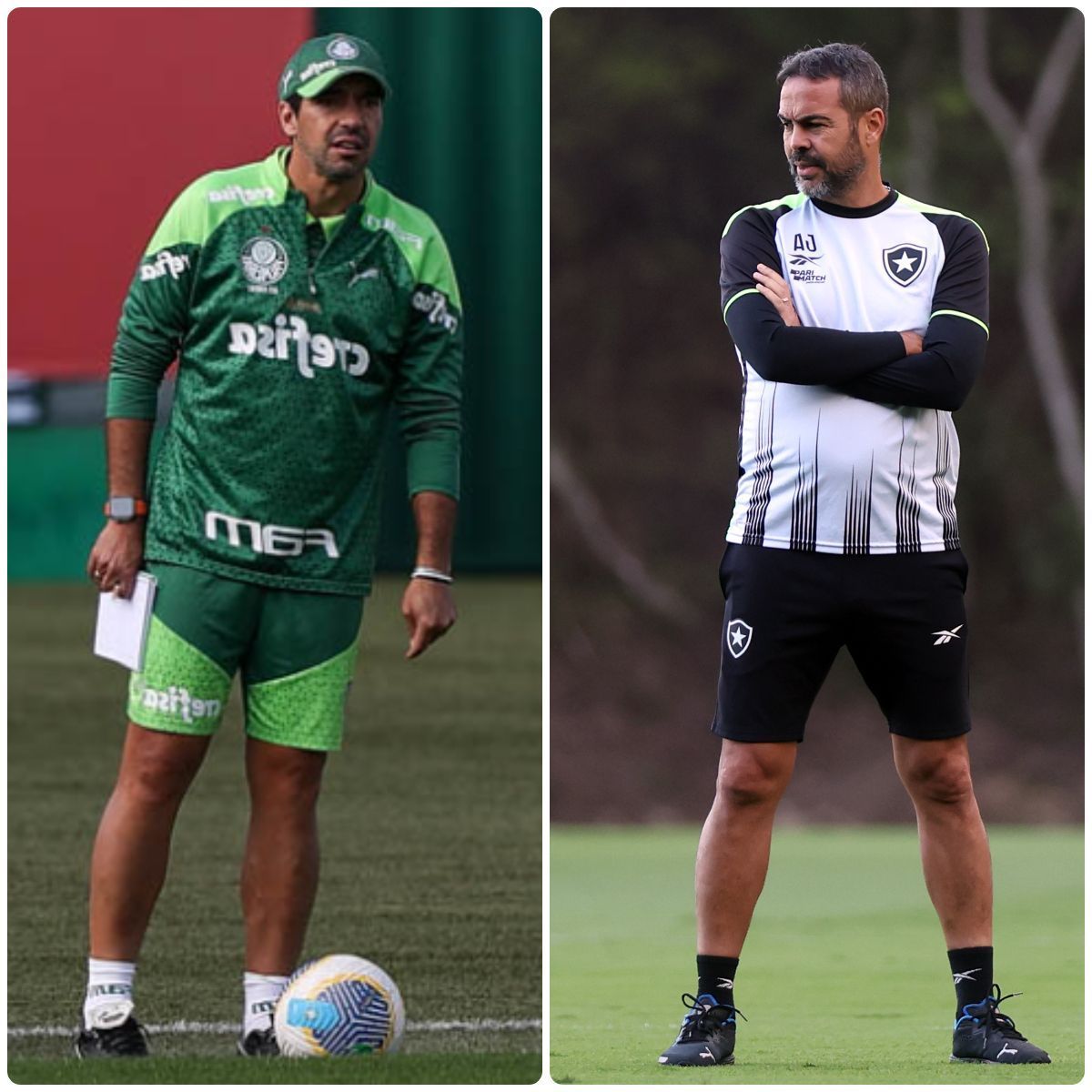 Quedas na Copa do Brasil aumentam pressão sobre Palmeiras e Botafogo na Libertadores