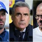 Quem substituirá Diniz no Cruzeiro? Veja dez técnicos livres no mercado