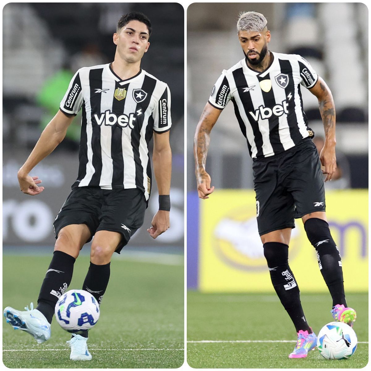 Botafogo supera desfalque, e nova dupla de zaga soma números expressivos