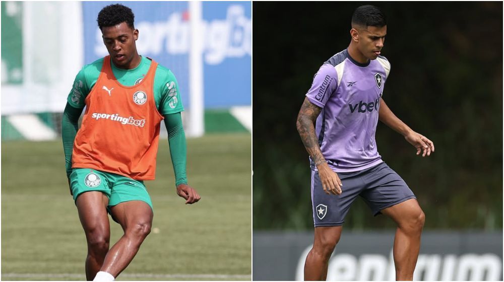 Palmeiras x Botafogo: horário e onde assistir ao vivo pelo Brasileirão
