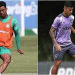 Palmeiras x Botafogo: horário e onde assistir ao vivo pelo Brasileirão