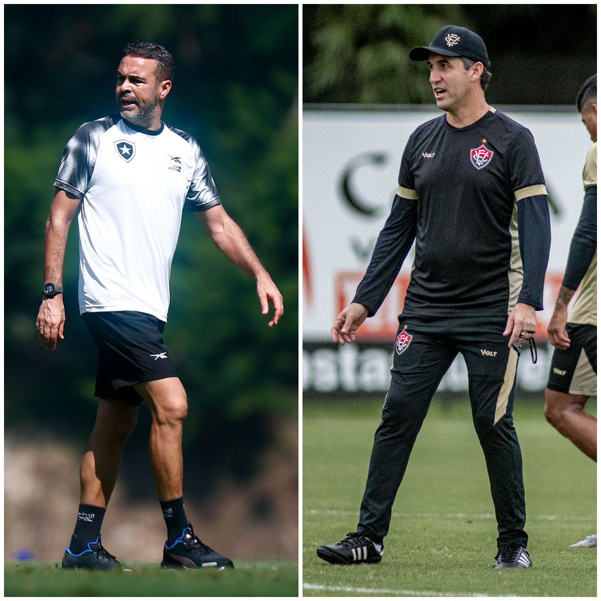 Botafogo x Vitória: veja as prováveis escalações para jogo da Copa do Brasil