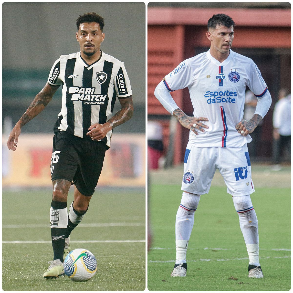 Embalados, Botafogo e Bahia se enfrentam em duelo de reencontros no Brasileirão